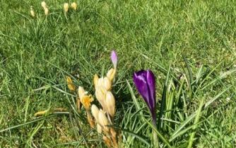 Frühling lässt sein blaues Band (endlich) ...