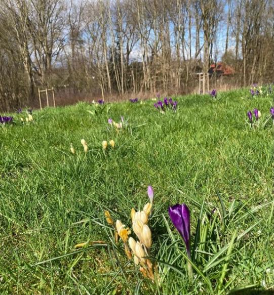 Frühling lässt sein blaues Band (endlich) ...