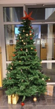 Weihnachtsbaum
