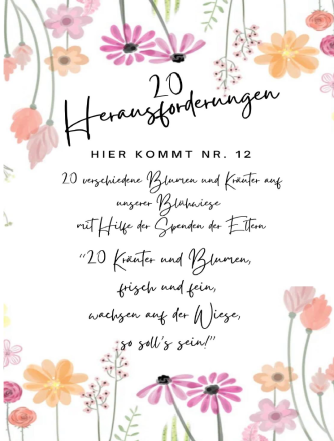 Herausforderung 12: Lasst die KGS erblühen!