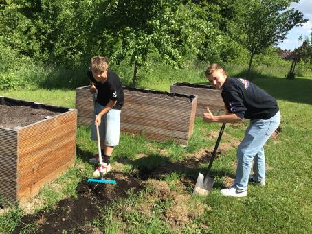 Schuften in der Sonne damit die ...