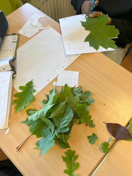 Kategorisieren und lernen