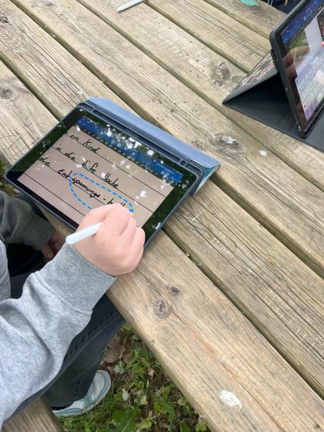 In der Natur und mit der Natur arbeiten