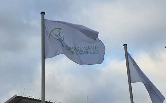 Projekt &quot;Eins Mehr&quot; von der Reinfelder Tafel - Elternbrief