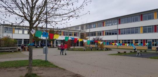 Frühblüherpflanzaktion