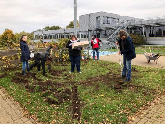 Frühblüherpflanzaktion