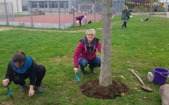 Frühblüher pflanzen an der Immanuel-Kant-Schule