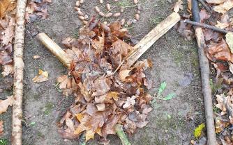 Kunst im (Schul-)wald