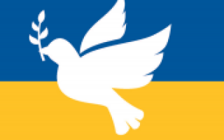 Hilfstransport für Kriegsleidende